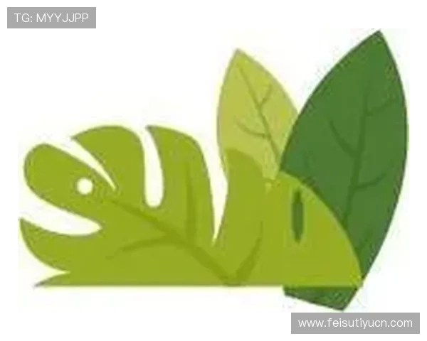 乐鱼体育官网官网积极响应行业规范，推动绿色健康娱乐环境建设