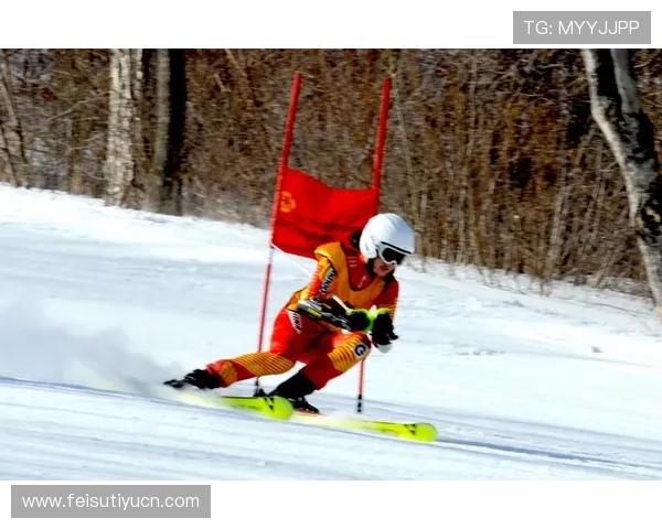 劲浪体育全面解析：如何提升你的运动表现与竞技水平