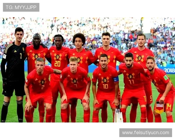 世界杯比利时对阵埃及比赛现场对阵图及比赛亮点精彩回顾